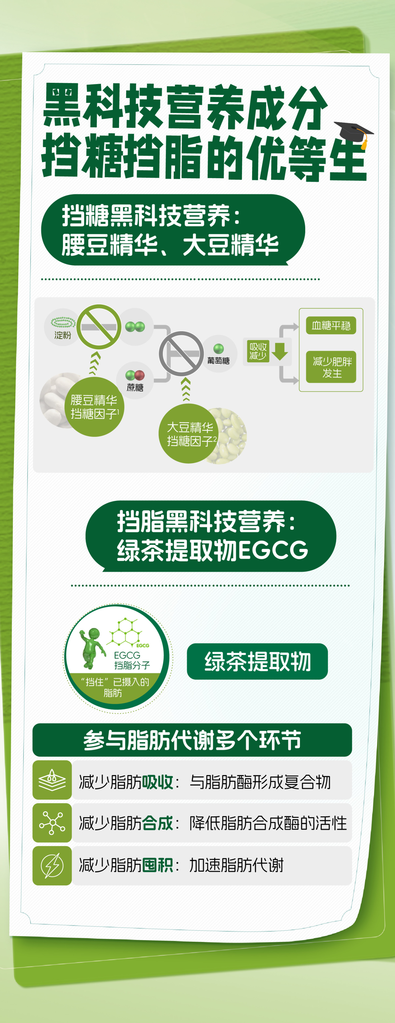 黑科技营养成分
 挡糖挡脂的优等生
 挡糖黑科技营养：腰豆精华、大豆精华
 血糖平稳
 减少肥胖发生
 挡脂黑科技营养：绿茶提取物EGCG
 绿茶提取物
 参与脂肪代谢多个环节
 减少脂肪吸收：与脂肪酶形成复合物
 减少脂肪合成：降低脂肪合成酶的活性
 减少脂肪囤积：加速脂肪代谢