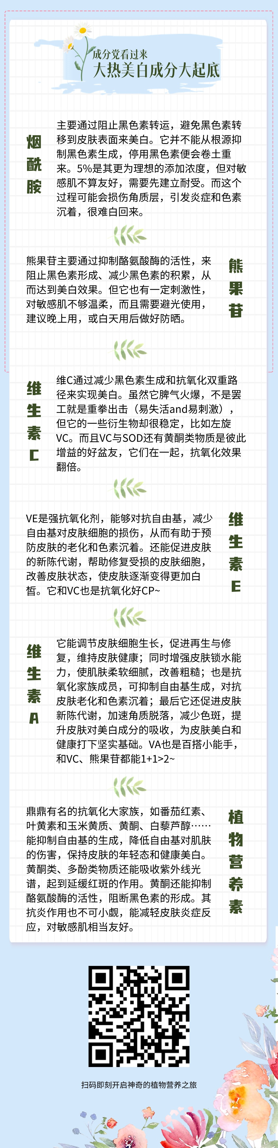 成分党看过来
大热美白成分人起底

主要通过阻止黑色素转运，避免黑色素转移到皮肤表面来美白。它并不能从根源抑制黑色素生成，停用黑色素便会卷土重来。5%是其更为理想的添加浓度，但对敏感肌不算友好，需要先建立耐受。而这个过程可能会损伤角质层，引发炎症和色素沉着，很难白回来。

烟酰胺

熊果苷主要通过抑制酪氨酸酶的活性，来阻止黑色素形成、减少黑色素的积累，从而达到美白效果。但它也有一定刺激性，对敏感肌不够温柔，而且需要避光使用，建议晚上用，或白天用后做好防晒。

维C通过减少黑色素生成和抗氧化双重路径来实现美白。虽然它脾气火爆，不是罢工就是重拳出击（易失活and易刺激），但它的一些衍生物却很稳定，比如左旋VC。而且VC与SOD还有黄酮类物质是彼此增益的好盆友，它们在一起，抗氧化效果翻倍。

VE是强抗氧化剂，能够对抗自由基，减少自由基对皮肤细胞的损伤，从而有助于预防皮肤的老化和色素沉着。还能促进皮肤的新陈代谢，帮助修复受损的皮肤细胞，改善皮肤状态，使皮肤逐渐变得更加白皙。它和VC也是抗氧化好CP~

它能调节皮肤细胞生长，促进再生与修复，维持皮肤健康；同时增强皮肤锁水能力，使肌肤柔软细腻，改善粗糙；也是抗氧化家族成员，可抑制自由基生成，对抗皮肤老化和色素沉着；最后它还促进皮肤新陈代谢，加速角质脱落，减少色斑，提升皮肤对美白成分的吸收，为皮肤美白和健康打下坚实基础。VA也是百搭小能手，和VC、熊果苷都能1+1>2~

鼎鼎有名的抗氧化大家族，如番茄红素、叶黄素和玉米黄质、黄酮、白藜芦醇……能抑制自由基的生成，降低自由基对肌肤的伤害，保持皮肤的年轻态和健康美白。黄酮类、多酚类物质还能吸收紫外线光谱，起到延缓红斑的作用。黄酮还能抑制酪氨酸酶的活性，阻断黑色素的形成。其抗炎作用也不可小觑，能减轻皮肤炎症反应，对敏感肌相当友好。

植物营养素
