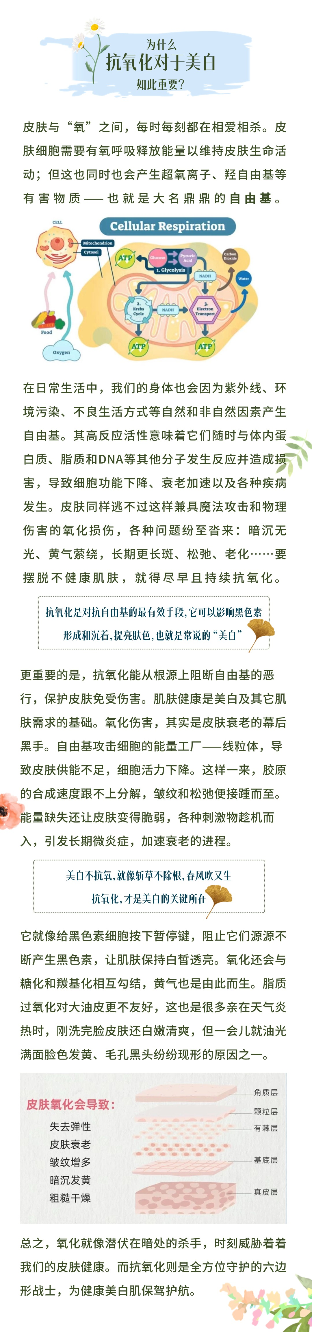 为什么抗氧化对于美白如此重要？

皮肤与“氧”之间，每时每刻都在相爱相杀。皮肤细胞需要有氧呼吸释放能量以维持皮肤生命活动；但这也同时也会产生超氧离子、羟自由基等有害物质——也就是大名鼎鼎的自由基。

在日常生活中，我们的身体也会因为紫外线、环境污染、不良生活方式等自然和非自然因素产生自由基。其高反应活性意味着它们随时与体内蛋白质、脂质和DNA等其他分子发生反应并造成损害，导致细胞功能下降、衰老加速以及各种疾病发生。皮肤同样逃不过这样兼具魔法攻击和物理伤害的氧化损伤，各种问题纷至沓来：暗沉无光、黄气萦绕，长期更长斑、松弛、老化……要摆脱不健康肌肤，就得尽早且持续抗氧化。

抗氧化是对抗自由基的最有效手段，它可以影响黑色素形成和沉着，提亮肤色，也就是常说的“美白”。

更重要的是，抗氧化能从根源上阻断自由基的恶行，保护皮肤免受伤害。肌肤健康是美白及其它肌肤需求的基础。氧化伤害，其实是皮肤衰老的幕后黑手。自由基攻击细胞的能量工厂——线粒体，导致皮肤供能不足，细胞活力下降。这样一来，胶原的合成速度跟不上分解，皱纹和松弛便接踵而至。能量缺失还让皮肤变得脆弱，各种刺激物趁机而入，引发长期微炎症，加速衰老的进程。

美白不抗氧化，就像斩草不除根，春风吹又生
抗氧化，才是美白的关键所在

它就像给黑色素细胞按下暂停键，阻止它们源源不断不断产生黑色素，让肌肤保持白皙透亮。氧化还会与糖化和羰基化相互勾结，黄气也是由此而生。脂质过氧化对大油皮更不友好，这也是很多亲在天气炎热时，刚洗完脸皮肤还白嫩清爽，但一会儿就油光满面脸色发黄、毛孔黑头纷纷现形的原因之一。

皮肤氧化会导致：
- 失去弹性
- 皮肤衰老
- 皱纹增多
- 暗沉发黄
- 粗糙干燥

总之，氧化就像潜伏在暗处的杀手，时刻威胁着着我们的皮肤健康。而抗氧化则是全方位守护的六边形战士，为健康美白肌保驾护航。