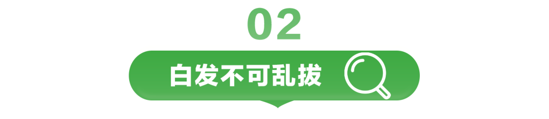 02
白发不可乱拔
