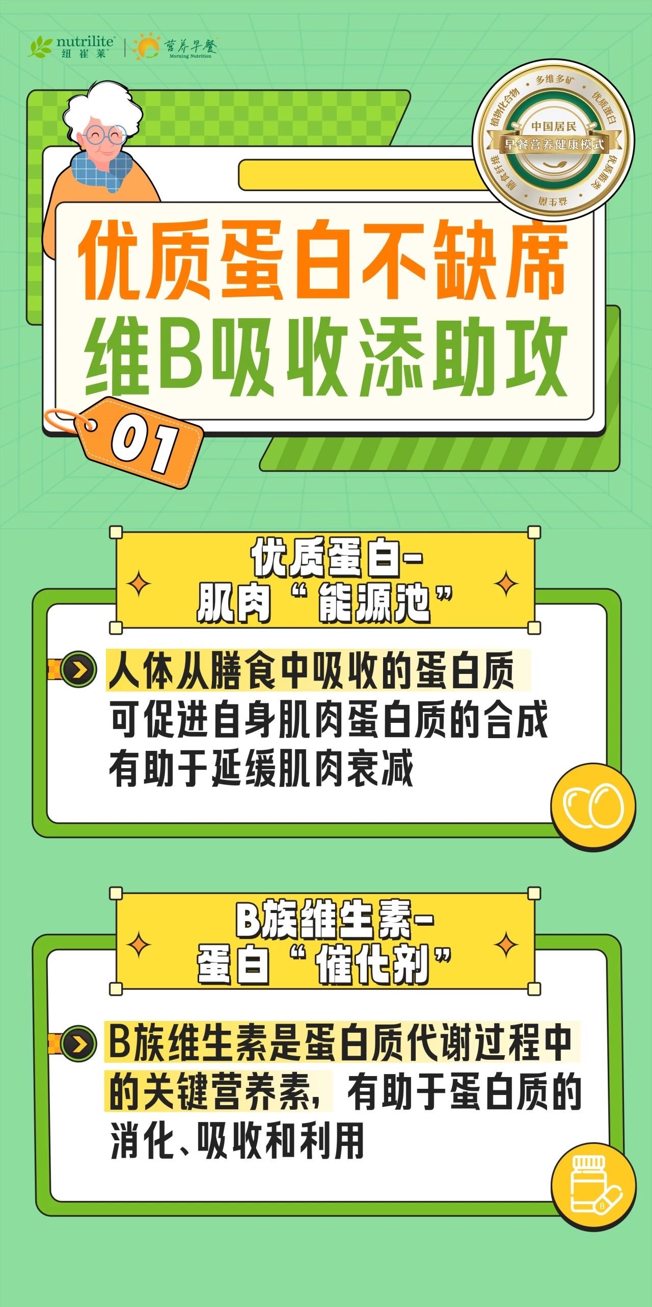 优质蛋白不缺席 维B吸收添助攻
 01
 优质蛋白-肌肉“能源池”
 人体从膳食中吸收的蛋白质可促进自身肌肉蛋白质的合成有助于延缓肌肉衰减
 B族维生素-蛋白“催化剂”
 B族维生素是蛋白质代谢过程中的关键营养素，有助于蛋白质的消化、吸收和利用