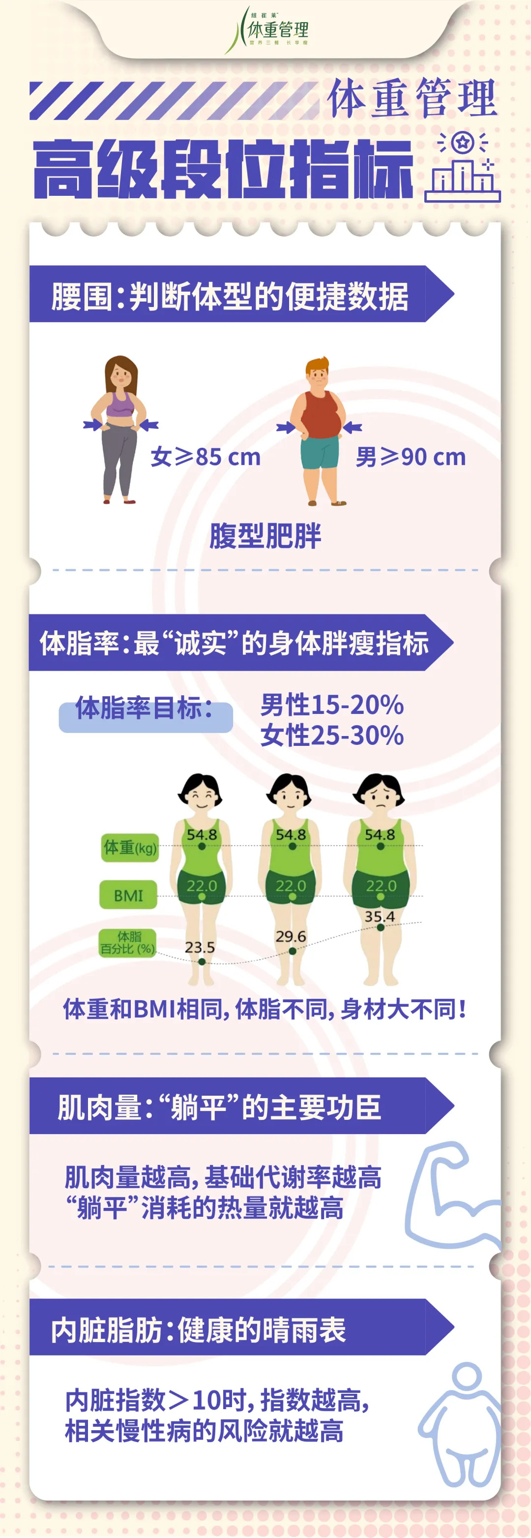 体重管理
 高级段位指标
 腰围：判断体型的便捷数据
 女≥85 cm
 男≥90 cm
 腹型肥胖
 体脂率：最“诚实”的身体胖瘦指标
 体脂率目标：男性15-20% 女性25-30%
 体重和BMI相同，体脂不同，身材大不同！
 肌肉量：“躺平”的主要功臣
 肌肉量越高，基础代谢率越高 “躺平”消耗的热量就越高
 内脏脂肪：健康的晴雨表
 内脏指数＞10时，指数越高，相关慢性病的风险就越高