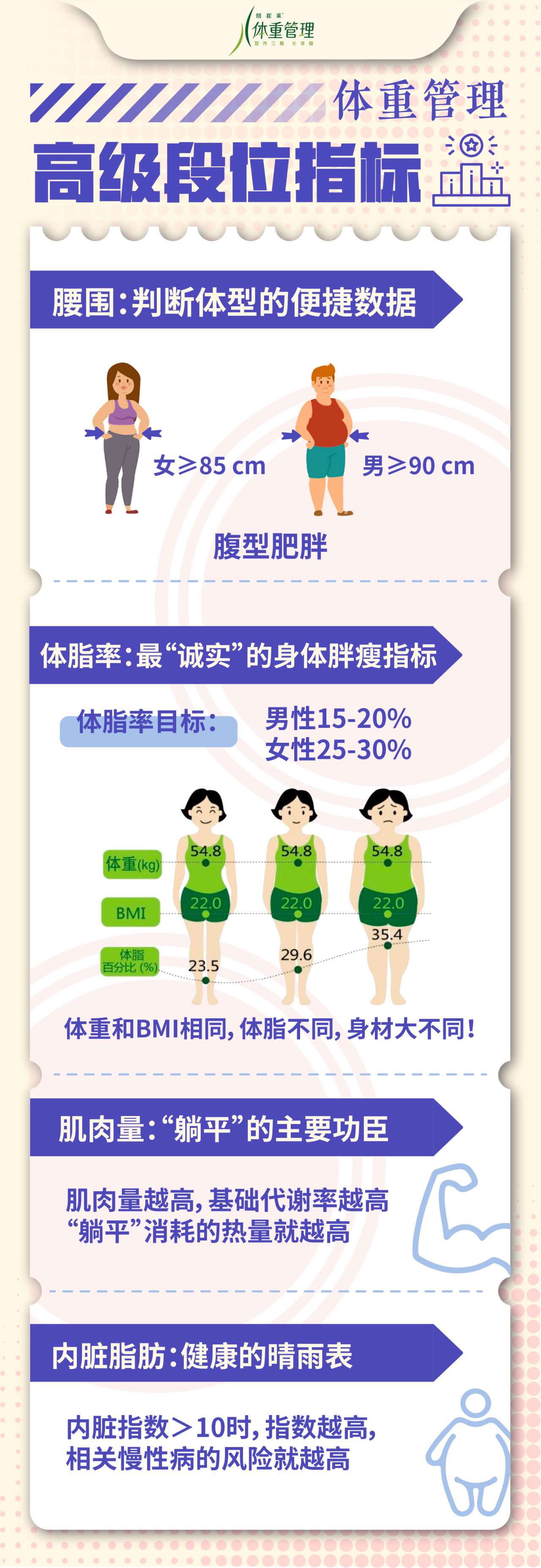 体重管理
 高级段位指标
 腰围：判断体型的便捷数据
 女≥85 cm
 男≥90 cm
 腹型肥胖
 体脂率：最“诚实”的身体胖瘦指标
 体脂率目标：男性15-20% 女性25-30%
 体重和BMI相同，体脂不同，身材大不同！
 肌肉量：“躺平”的主要功臣
 肌肉量越高，基础代谢率越高 “躺平”消耗的热量就越高
 内脏脂肪：健康的晴雨表
 内脏指数＞10时，指数越高，相关慢性病的风险就越高
