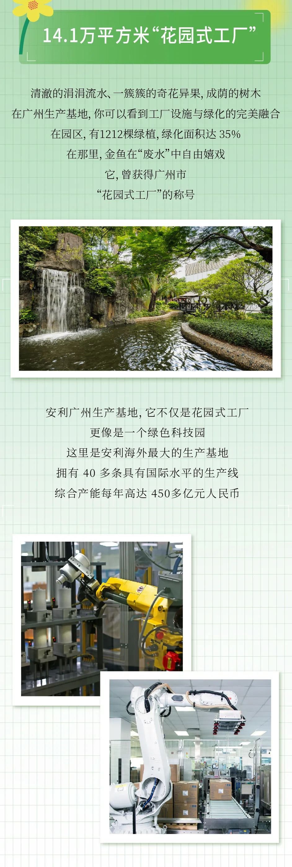 14.1万平方米“花园式工厂”
 清澈的涓涓流水、一簇簇的奇花异果，成荫的树木
 在广州生产基地，你可以看到工厂设施与绿化的完美融合
 在园区，有1212棵绿植，绿化面积达35%
 在那里，金鱼在“废水”中自由嬉戏
 它，曾获得广州市“花园式工厂”的称号
 安利广州生产基地，它不仅是花园式工厂
 更像是一个绿色科技园
 这里是安利海外最大的生产基地
 拥有40多条具有国际水平的生产线
 综合产能每年高达450多亿元人民币