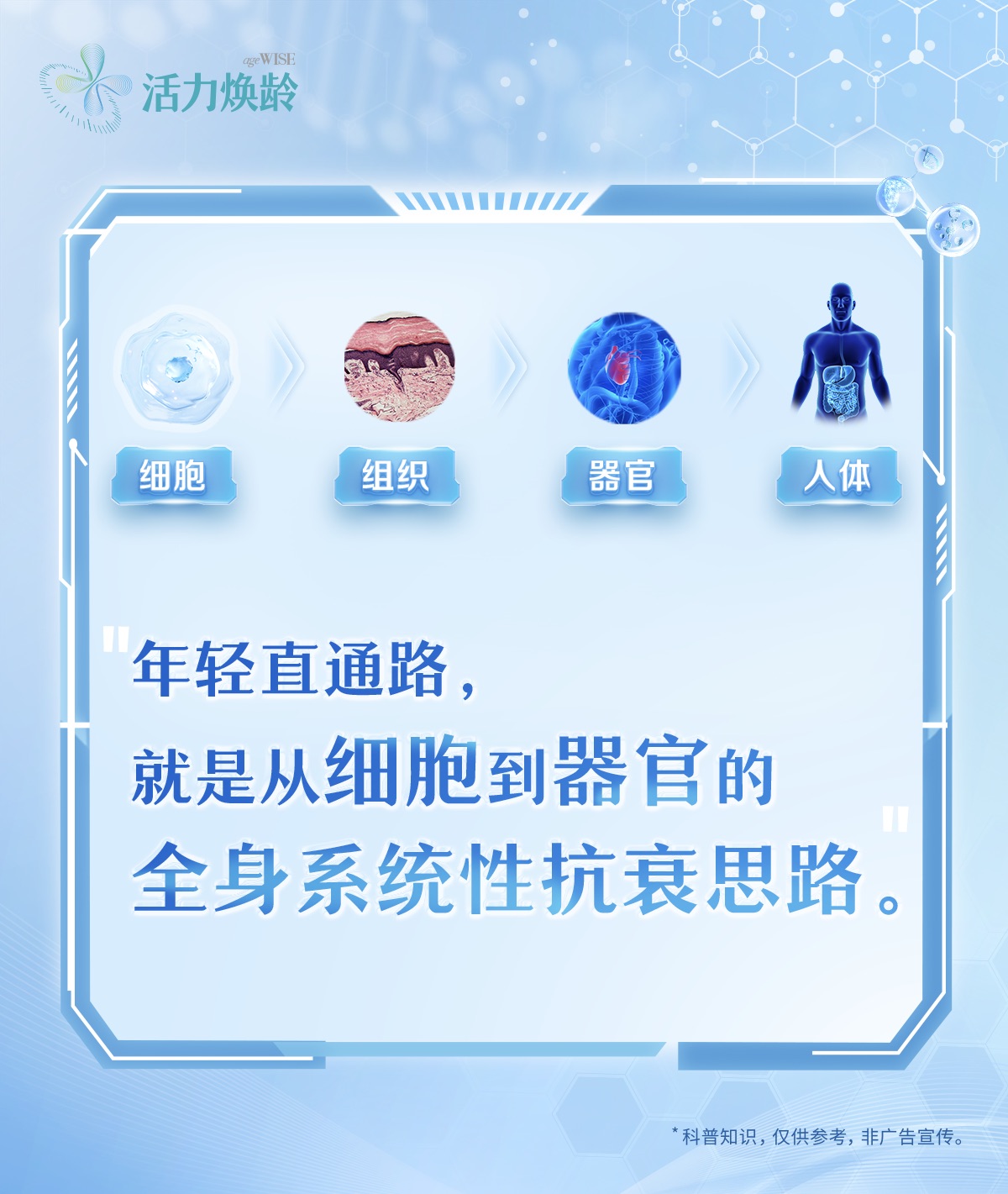 活力焕龄
 细胞
 组织
 器官
 人体
 年轻直通路，就是从细胞到器官的全身系统性抗衰思路。
 *科普知识，仅供参考，非广告宣传。