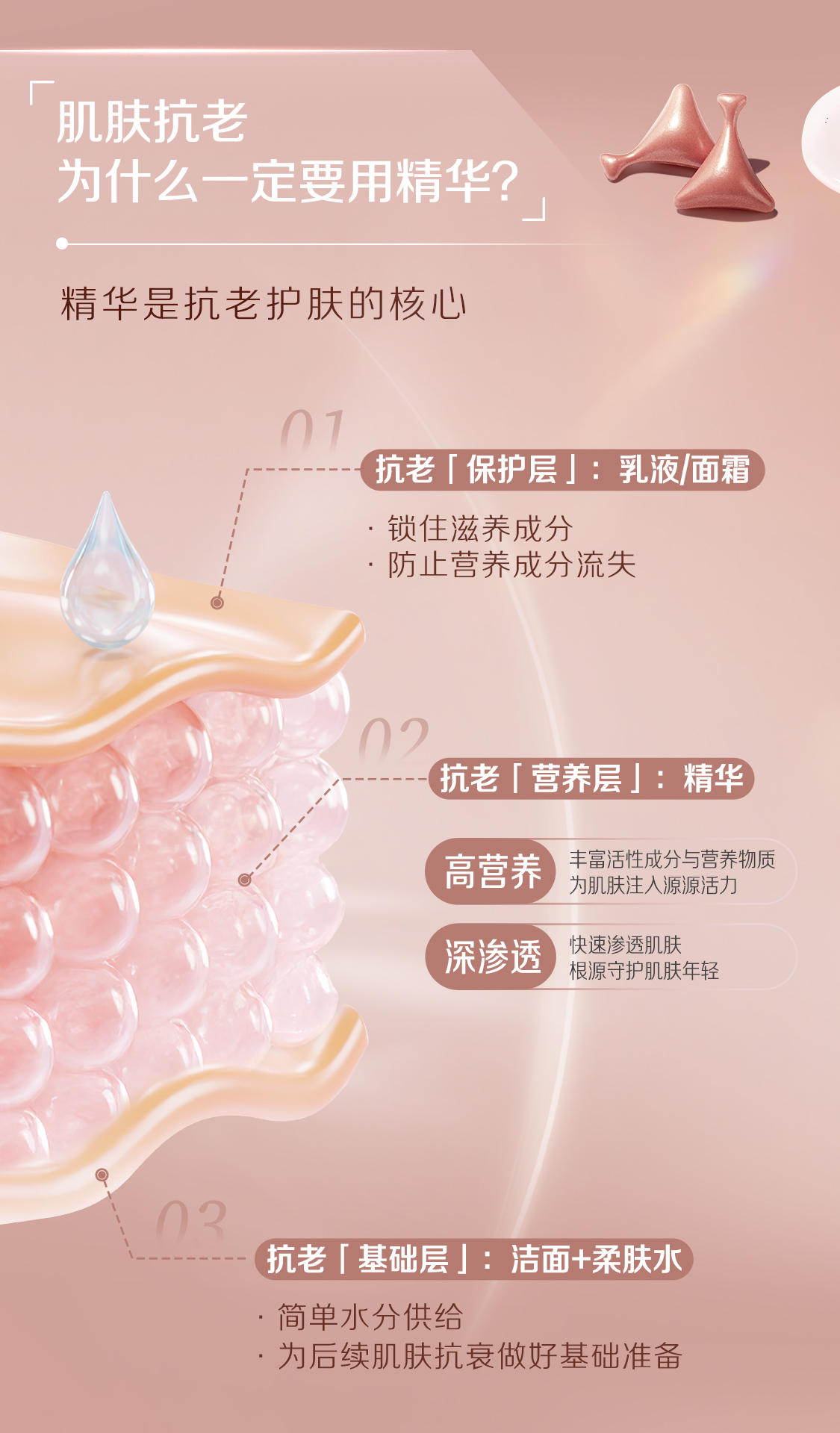 肌肤抗老
为什么一定要用精华？

精华是抗老护肤的核心

01 抗老「保护层」：乳液/面霜
- 锁住滋养成分
- 防止营养成分流失

02 抗老「营养层」：精华
- 高营养：丰富活性成分与营养物质为肌肤注入源源活力
- 深渗透：快速渗透肌肤根源守护肌肤年轻

03 抗老「基础层」：洁面+柔肤水
- 简单水分供给
- 为后续肌肤抗衰做好基础准备
