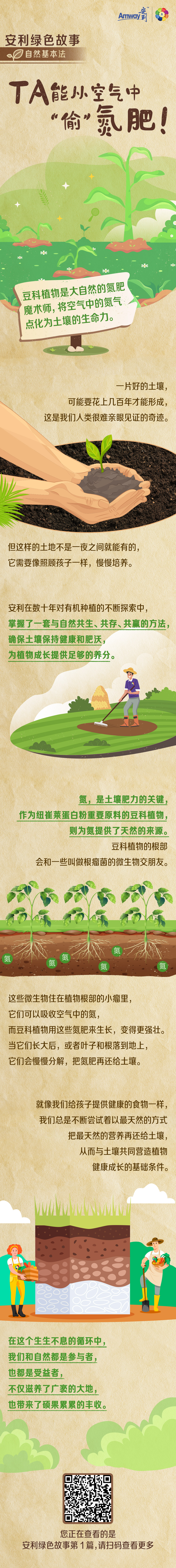 安利绿色故事
 自然基本法
 TA能从空气中“偷”氮肥！
 豆科植物是大自然的氮肥魔术师，将空气中的氮气点化为土壤的生命力。
 一片好的土壤，可能要花上几百年才能形成，这是我们人类很难亲眼见证的奇迹。
 但这样的土地不是一夜之间就能有的，它需要像照顾孩子一样，慢慢培养。
 安利在数十年对有机种植的不断探索中，掌握了一套与自然共生、共存、共赢的方法，确保土壤保持健康和肥沃，为植物成长提供足够的养分。
 氮，是土壤肥力的关键，作为纽崔莱蛋白粉重要原料的豆科植物，则为氮提供了天然的来源。豆科植物的根部会和一些叫做根瘤菌的微生物交朋友。
 这些微生物住在植物根部的小瘤里，它们可以吸收空气中的氮，而豆科植物用这些氮肥来生长，变得更强壮。当它们长大后，或者叶子和根落到地上，它们会慢慢分解，把氮肥再还给土壤。
 就像我们给孩子提供健康的食物一样，我们总是不断尝试着以最天然的方式把最天然的营养再还给土壤，从而与土壤共同营造植物健康成长的基础条件。
 在这个生生不息的循环中，我们和自然都是参与者，也都是受益者，不仅滋养了广袤的大地，也带来了硕果累累的丰收。
您正在查看的是安利绿色故事第1篇，请扫码查看更多