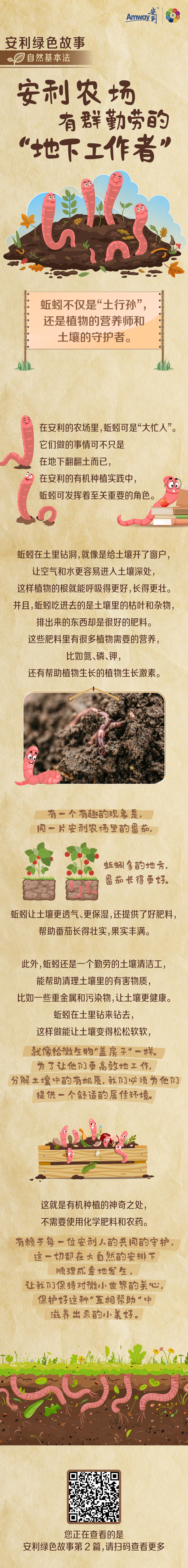 安利绿色故事
 自然基本法
 安利农场有群勤劳的“地下工作者”
 蚯蚓不仅是“土行孙”，还是植物的营养师和土壤的守护者。
 在安利的农场里，蚯蚓可是“大忙人”。它们做的事情可不只是在地下翻翻土而已，在安利的有机种植实践中，蚯蚓可发挥着至关重要的角色。
 蚯蚓在土里钻洞，就像是给土壤开了窗户，让空气和水更容易进入土壤深处，这样植物的根就能呼吸得更好，长得更壮。并且，蚯蚓吃进去的是土壤里的枯叶和杂物，排出来的东西却是很好的肥料。这些肥料里有很多植物需要的营养，比如氮、磷、钾，还有帮助植物生长的植物生长激素。
 有一个有趣的现象是，同一片安利农场里的番茄，蚯蚓多的地方，番茄长得更好。
 蚯蚓让土壤更透气、更保湿，还提供了好肥料，帮助番茄长得壮实，果实丰满。
 此外，蚯蚓还是一个勤劳的土壤清洁工，能帮助清理土壤里的有害物质，比如一些重金属和污染物，让土壤更健康。
 蚯蚓在土里钻来钻去，这样做能让土壤变得松软软，就像给微生物“盖房子”一样。为了让他们更高效地工作，分解土壤中的有机质，我们必须为他们提供一个舒适的居住环境。
 这就是有机种植的神奇之处，不需要使用化学肥料和农药。
 有赖于每一位安利人的共同的守护，这一切都在大自然的安排下，顺理成章地发生，让我们保持对微小世界的关心，保护好这种“互相帮助”中滋养出来的小美好。
您正在查看的是安利故事第2篇，请扫码查看更多