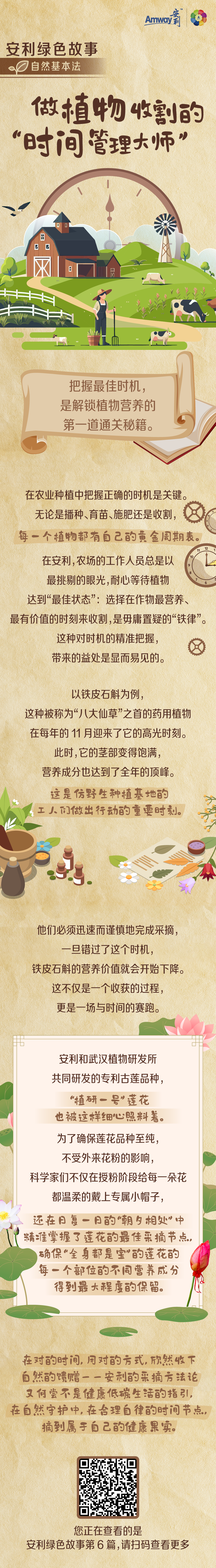 安利绿色故事
自然基本法
做植物收割的“时间管理大师”
把握最佳时机，是解锁植物营养的第一道通关秘籍。
在农业种植中把握正确的时机是关键。无论是播种、育苗、施肥还是收割，每一个植物都有自己的黄金周期表。在安利,农场的工作人员总是以最挑剔的眼光,耐心等待植物达到“最佳状态”:选择在作物最营养、最有价值的时刻来收割,是毋庸置疑的“铁律”。这种对时机的精准把握，带来的益处是显而易见的。
以铁皮石斛为例，这种被称为“八大仙草”之首的药用植物，在每年的 11 月迎来了它的高光时刻。此时,它的茎部变得饱满，营养成分也达到了全年的顶峰。这是仿野生种植基地的工人们做出行动的重要时刻。
他们必须迅速而谨慎地完成采摘，一旦错过了这个时机，铁皮石斛的营养价值就会开始下降。这不仅是一个收获的过程，更是一场与时间的赛跑。
安利和武汉植物研发所共同研发的专利古莲品种“植研一号”莲花也被这样细心照料着。为了确保莲花品种至纯，不受外来花粉的影响，科学家们不仅在授粉阶段给每一朵花都温柔的戴上专属小帽子，还在日复一月的“朝夕相处”中精准掌握了莲花的最佳采摘节点，确保“全身都是宝”的莲花的每一个部位的不同营养成分得到最大程度的保留。
在对的时间,用对的方式,欣然收下自然的馈赠——安利的采摘方法论又何尝不是健康低碳生活的指引，在自然守护中,在合理自律的时间节点,摘到属于自己的健康果实。