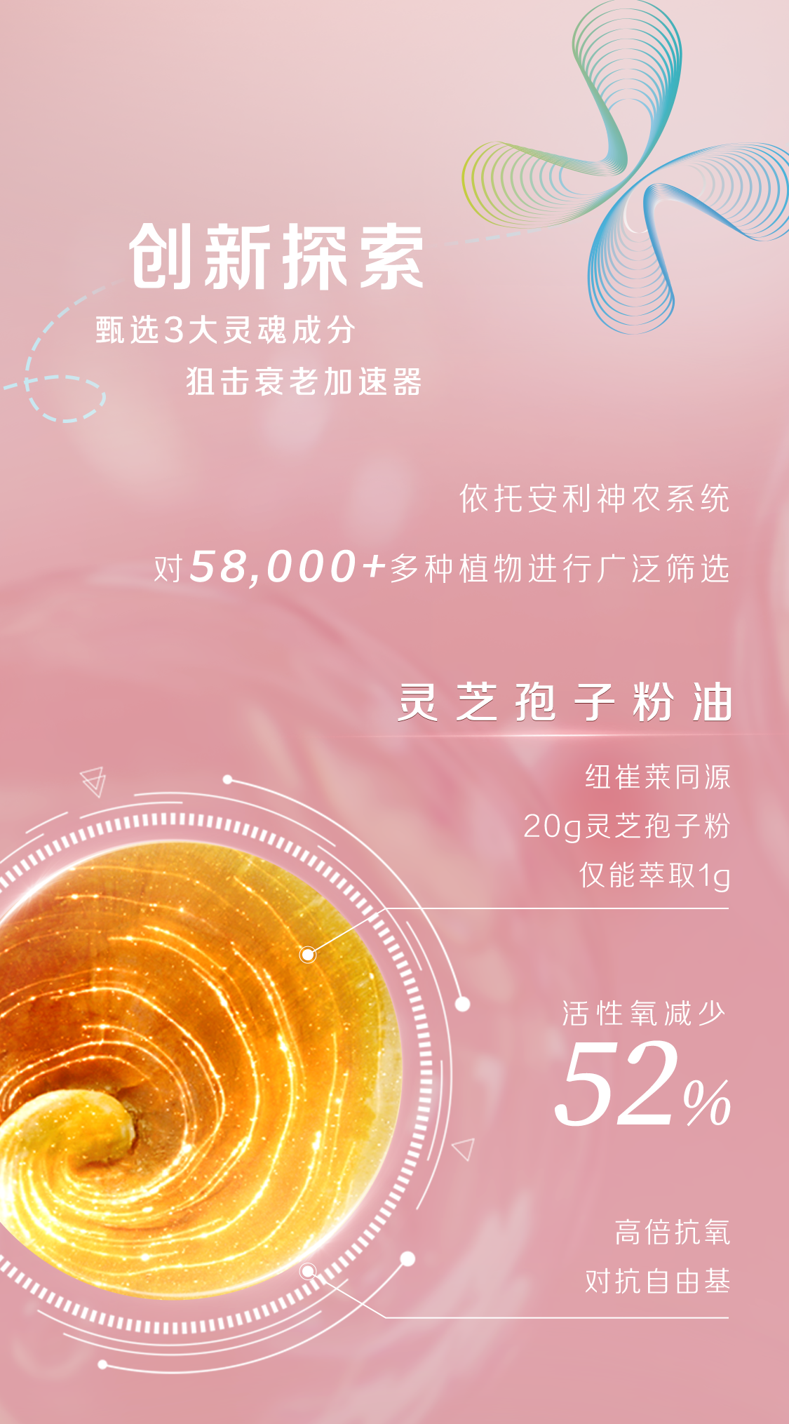 创新探索

甄选3大灵魂成分
狙击衰老加速器

依托安利神农系统
对58,000+多种植物进行广泛筛选

灵芝孢子粉油

纽崔莱同源
20g灵芝孢子粉
仅能萃取1g

活性氧减少
52%

高倍抗氧
对抗自由基