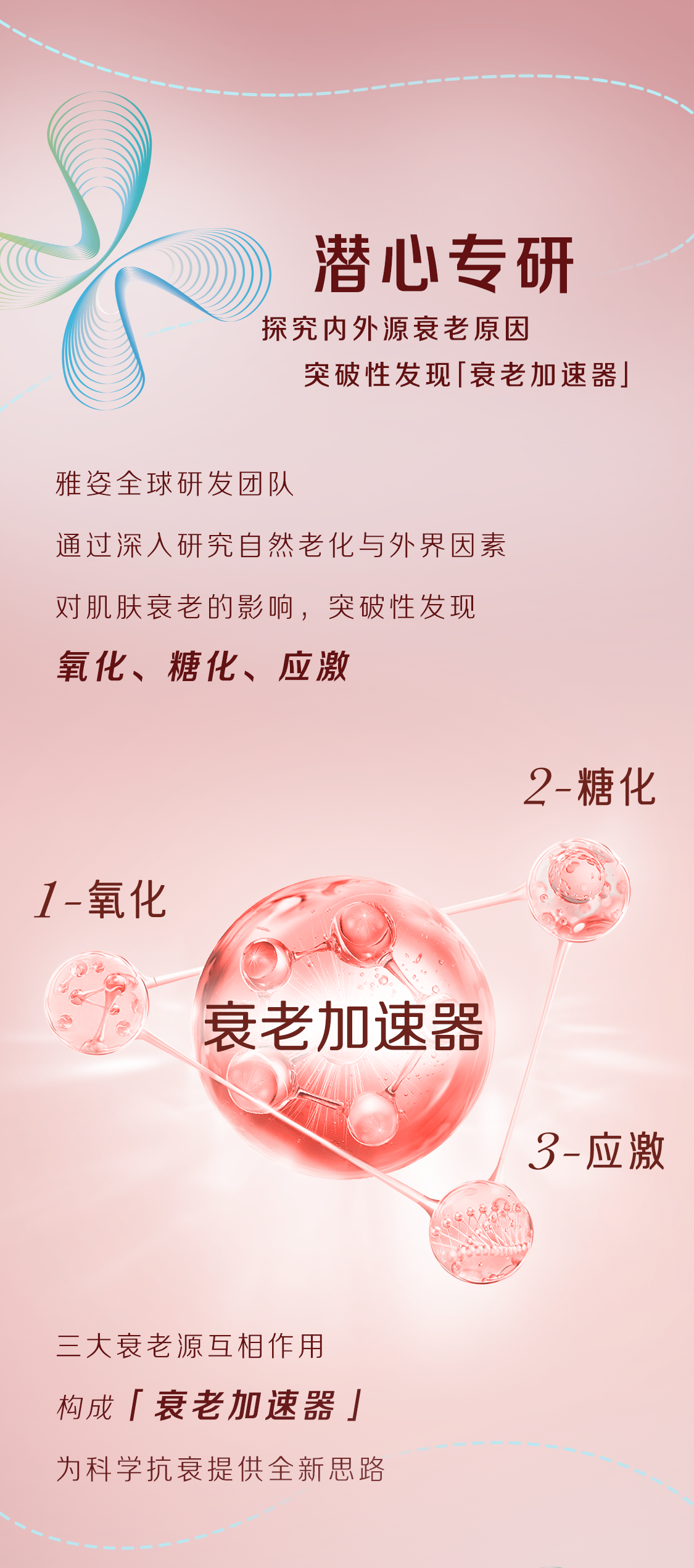 潜心专研
探究内外源衰老原因
突破性发现「衰老加速器」

雅姿全球研发团队
通过深入研究自然老化与外界因素
对肌肤衰老的影响，突破性发现

氧化、糖化、应激

1-氧化
2-糖化
3-应激

三大衰老源互相作用
构成「衰老加速器」
为科学抗衰提供全新思路