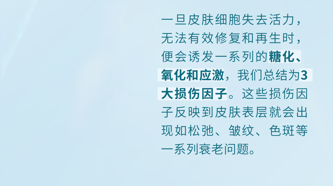 一旦皮肤细胞失去活力，
无法有效修复和再生时，
便会诱发一系列的糖化、
氧化和应激，我们总结为3
大损伤因子。这些损伤因
子反映到皮肤表层就会出
现如松弛、皱纹、色斑等
一系列衰老问题。