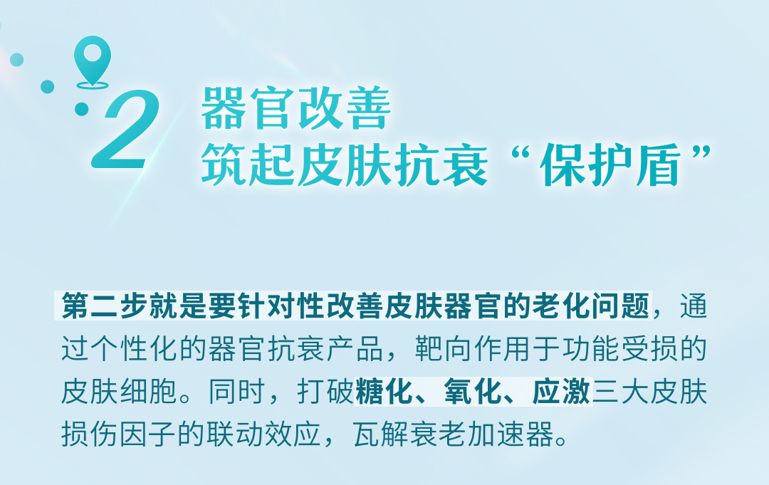 器官改善
筑起皮肤抗衰“保护盾”

第二步就是要针对性改善皮肤器官的老化问题，通过个性化的器官抗衰产品，靶向作用于功能受损的皮肤细胞。同时，打破糖化、氧化、应激三大皮肤损伤因子的联动效应，瓦解衰老加速器。