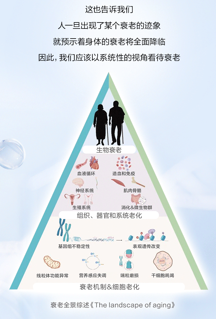 这也告诉我们

人一旦出现了某个衰老的迹象

就预示着身体的衰老将全面降临

因此，我们应该以系统性的视角看待衰老

生物衰老
血液循环
造血和免疫
神经系统
肌肉骨骼
生殖系统
消化&微生物群
组织、器官和系统老化
基因组不稳定性
表观遗传改变
线粒体功能异常
营养感应失调
端粒磨损
干细胞耗竭
衰老机制&细胞老化

衰老全景综述《The landscape of aging》