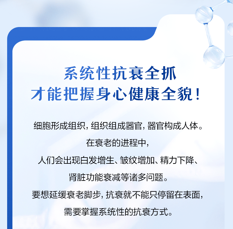 系统性抗衰全抓
才能把握身心健康全貌！

细胞形成组织，组织组成器官，器官构成人体。
在衰老的进程中，
人们会出现白发增生、皱纹增加、精力下降、
肾脏功能衰减等诸多问题。
要想延缓衰老脚步，抗衰就不能只停留在表面，
需要掌握系统性的抗衰方式。