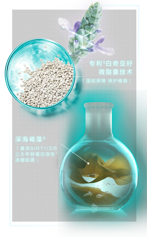 专利®白奇亚籽
微脂囊技术
「强韧屏障 修护维稳」

深海褐藻®
「激活SIRT1/3/6
三大年轻蛋白活性*
淡褪纹路」