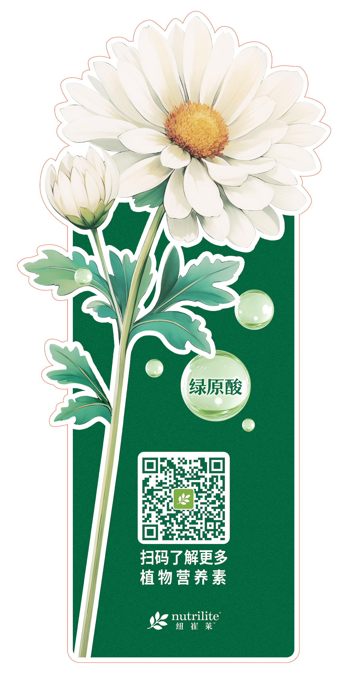 绿原酸

扫码了解更多
植物营养素

nutrilite 纽崔莱