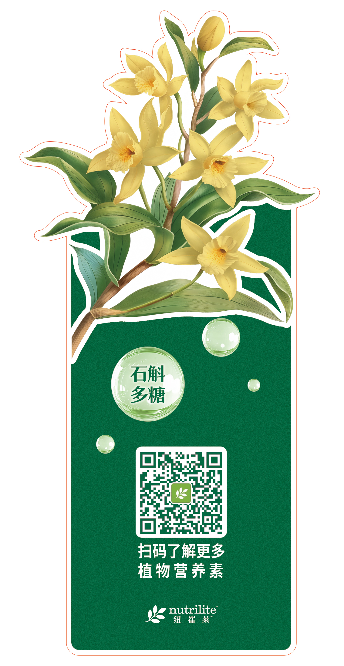 石斛多糖

扫码了解更多
植物营养素

nutrilite 纽崔莱