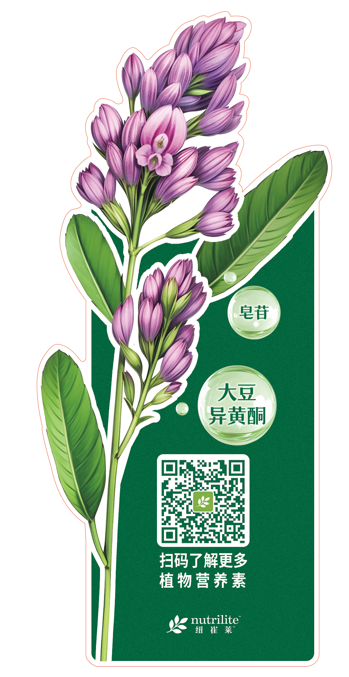 皂苷

大豆异黄酮

扫码了解更多
植物营养素

nutrilite 纽崔莱