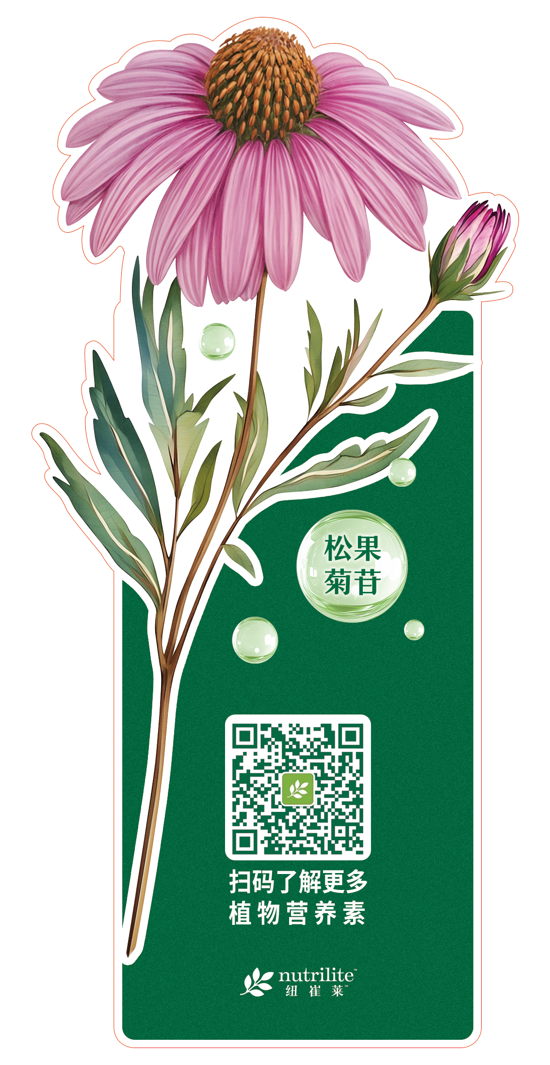 松果菊苷

扫码了解更多
植物营养素

nutrilite 纽崔莱