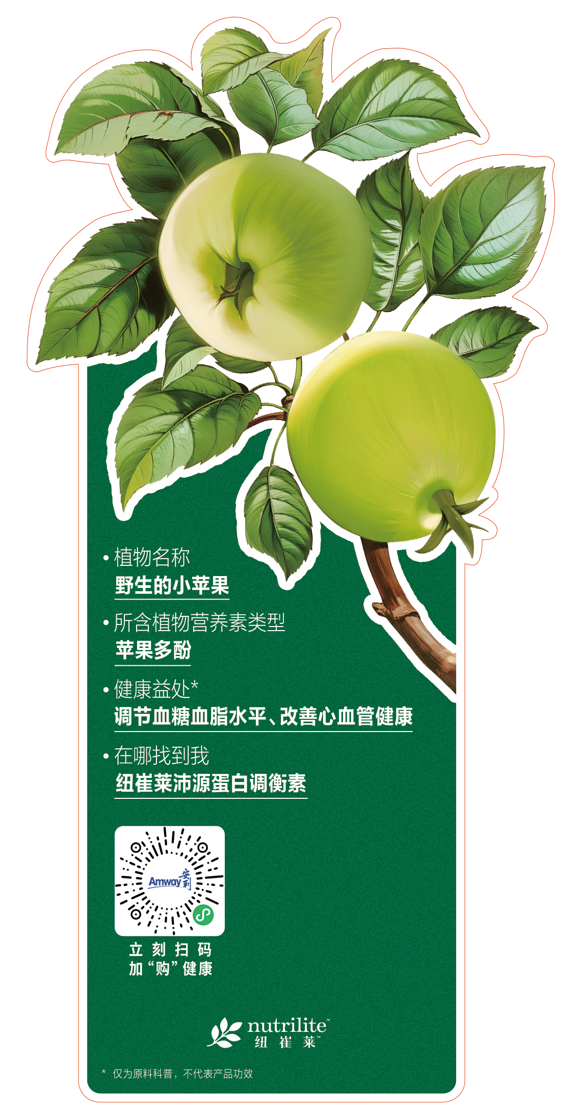 - 植物名称
  野生的小苹果

- 所含植物营养素类型
  苹果多酚

- 健康益处*
  调节血糖血脂水平、改善心血管健康

- 在哪找到我
  纽崔莱沛源蛋白调衡素

立刻扫码
加“购”健康

nutrilite 纽崔莱

*仅为原料科普，不代表产品功效