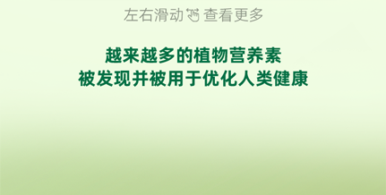 越来越多的植物营养素
被发现并被用于优化人类健康