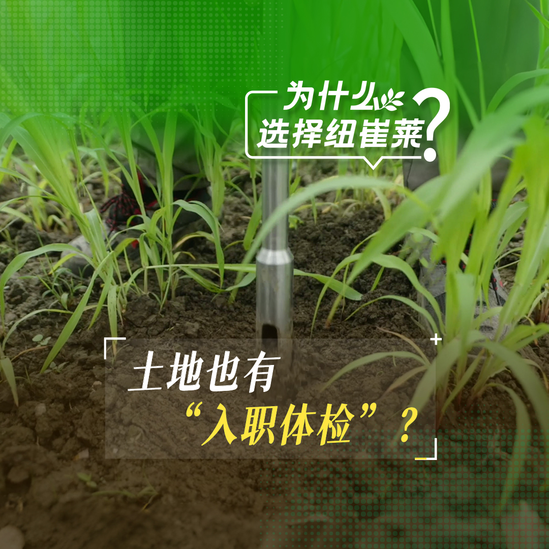 1-土地也有“入职体检”?