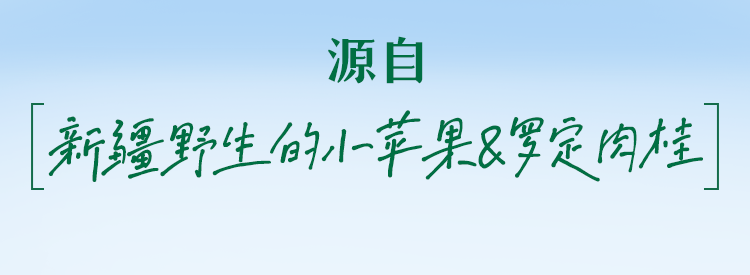 源自
新疆野生的小苹果&罗定肉桂