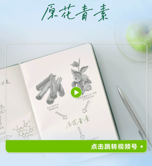 原花青素

点击跳转视频号