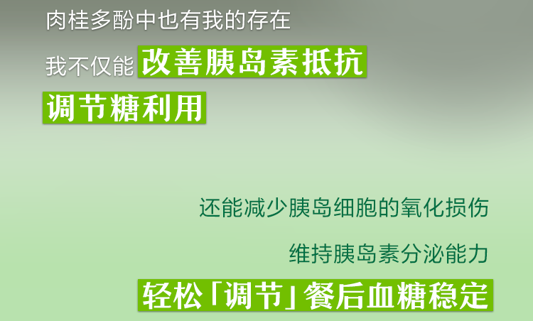 肉桂多酚中也有我的存在

我不仅能改善胰岛素抵抗
调节糖利用

还能减少胰岛细胞的氧化损伤
维持胰岛素分泌能力

轻松「调节」餐后血糖稳定