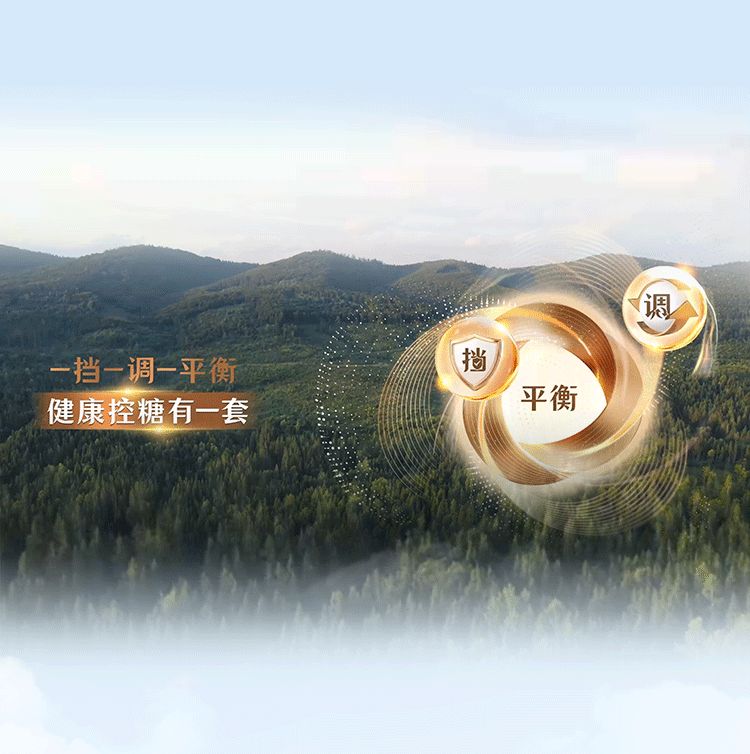 一挡一调一平衡
健康控糖有一套