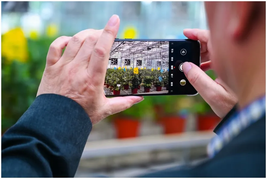 中国营养素与健康