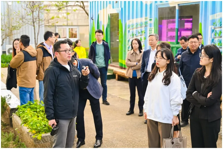 中国营养素与健康