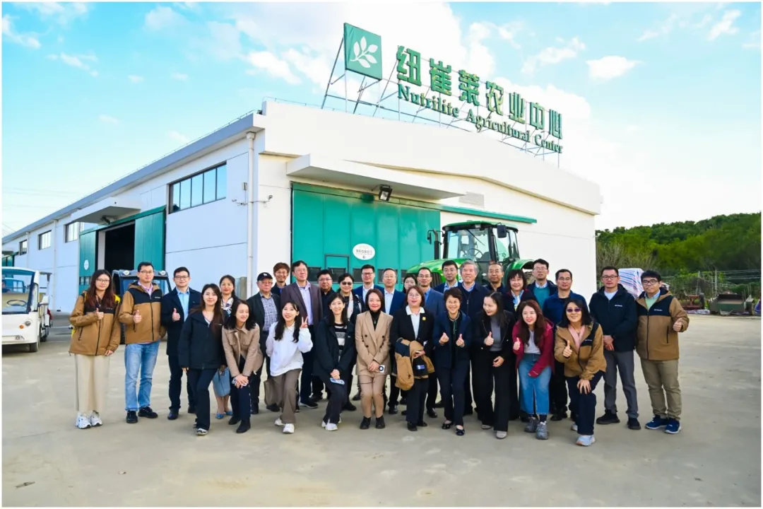 中国营养素与健康