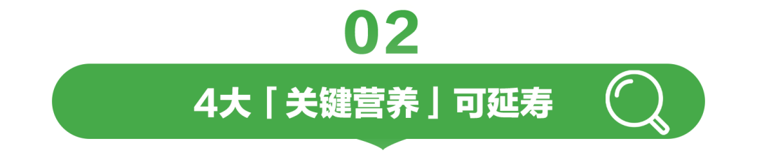 02

4大「关键营养」可延寿
