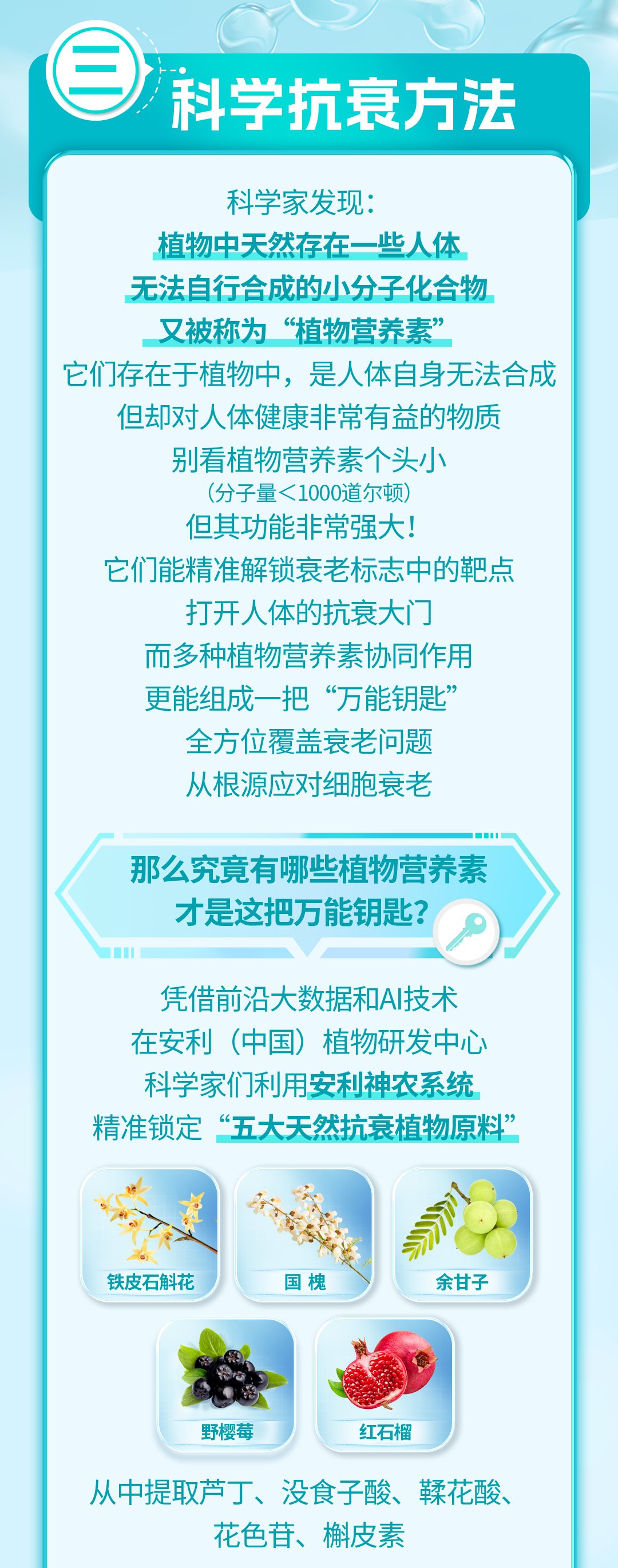 科学抗衰方法
 科学家发现：植物中天然存在一些人体无法自行合成的小分子化合物，又被称为“植物营养素”
 它们存在于植物中，是人体自身无法合成但却对人体健康非常有益的物质
 别看植物营养素个头小（分子量＜1000道尔顿），但其功能非常强大！它们能精准解锁衰老标志中的靶点，打开人体的抗衰大门
 而多种植物营养素协同作用更能组成一把“万能钥匙”，全方位覆盖衰老问题，从根源应对细胞衰老
 那么究竟有哪些植物营养素才是这把万能钥匙？
 凭借前沿大数据和AI技术，在安利（中国）植物研发中心，科学家们利用安利神农系统精准锁定“五大天然抗衰植物原料”
 铁皮石斛花、国槐、余甘子、野樱莓、红石榴
 从中提取芦丁、没食子酸、鞣花酸、花色苷、槲皮素