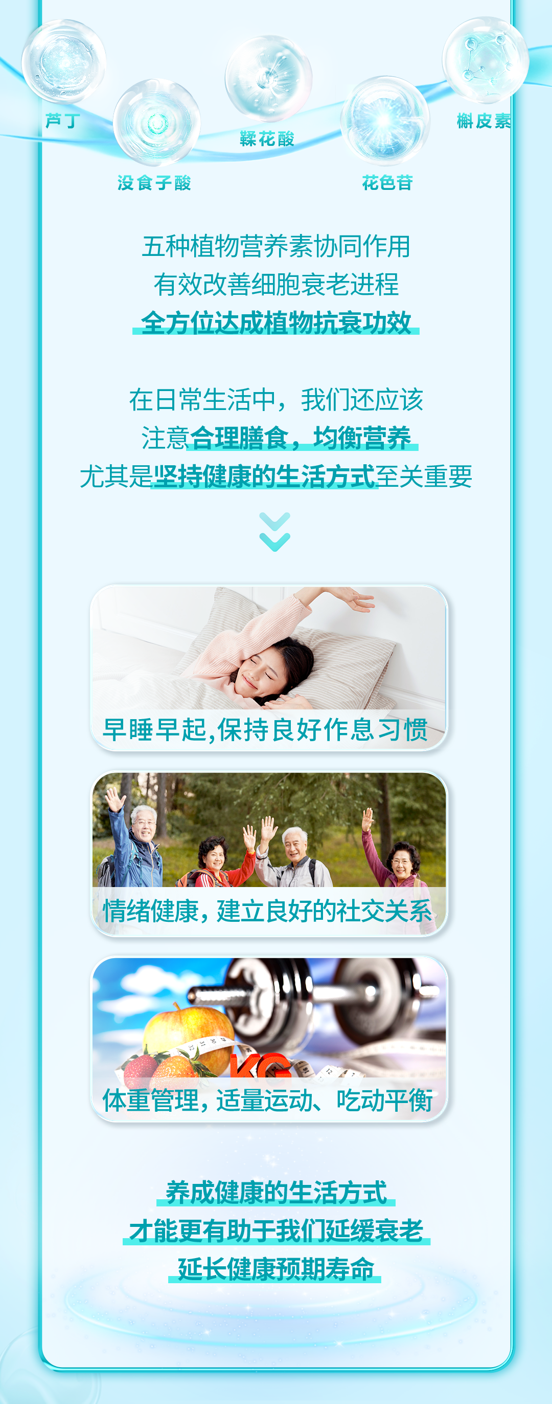 芦丁
 没食子酸
 鞣花酸
 花色苷
 槲皮素
 五种植物营养素协同作用
 有效改善细胞衰老进程
 全方位达成植物抗衰功效
 在日常生活中，我们还应该注意合理膳食，均衡营养
 尤其是坚持健康的生活方式至关重要
 早睡早起，保持良好作息习惯
 情绪健康，建立良好的社交关系
 体重管理，适量运动，吃动平衡
 养成健康的生活方式才能更有助于我们延缓衰老，延长健康预期寿命