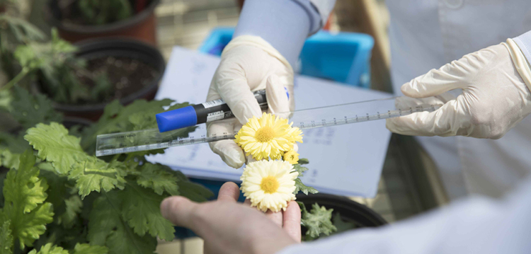 通过植物营养创新产品和解决方案提升公众健康预期寿命

营养早餐是覆盖各个人群的基础营养，为中国消费者提供更全面的基础营养摄入，更针对中国人膳食缺口，提供更独特的植物营养产品和更健康轻松的使用体验。健康生活，从营养早餐开始
营养元素6+1，按需补充每日膳食营养缺口: 优质蛋白、不饱和脂肪酸、磷脂、多维多矿、植物化合物、膳食纤维
细分四大人群，守护全家健康:
    - 纽崔莱男士: 早餐营养补充方案
    - 纽崔莱女士: 早餐营养补充方案
    - 纽崔莱成长: 早餐营养补充方案
    - 纽崔莱健活: 早餐营养补充方案
凭借三大核心优势，细胞焕活、植物力量、科技引领，配合全面均衡的基础营养摄入，实现活力年轻态。让身体年龄，跟上你的想象
    - 细胞焕活、植物力量、科技引领
定制化功能性解决方案
    - 口腔健康、肠胃健康、肝脏健康、心血管健康、睡眠和情绪健康、体重管理和骨骼/肌肉健康