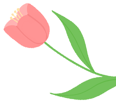 没有文字内容。