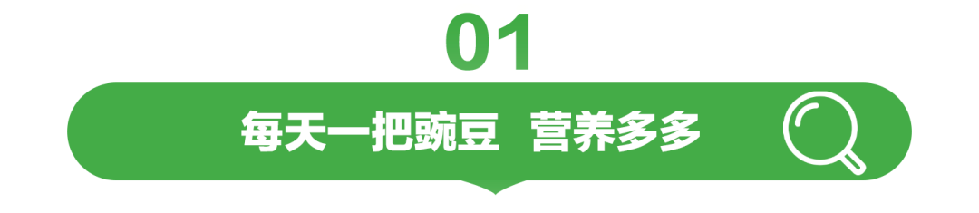 每天一把豌豆 营养多多