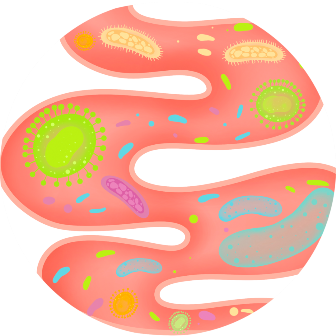 这张图片展示了一个细胞的内部结构，包含各种细胞器和微生物。具体包括：

- 细胞核
- 线粒体
- 内质网
- 高尔基体
- 溶酶体
- 过氧化物酶体
- 核糖体
- 微管
- 微丝
- 中心体

此外，还有一些病毒和细菌的图像。