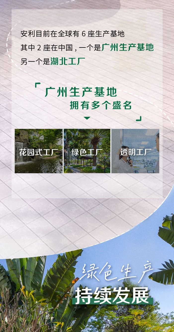 安利目前在全球有6座生产基地
 其中2座在中国，一个是广州生产基地
 另一个是湖北工厂
 广州生产基地拥有多个盛名
 花园式工厂
 绿色工厂
 透明工厂
 绿色生产
 持续发展