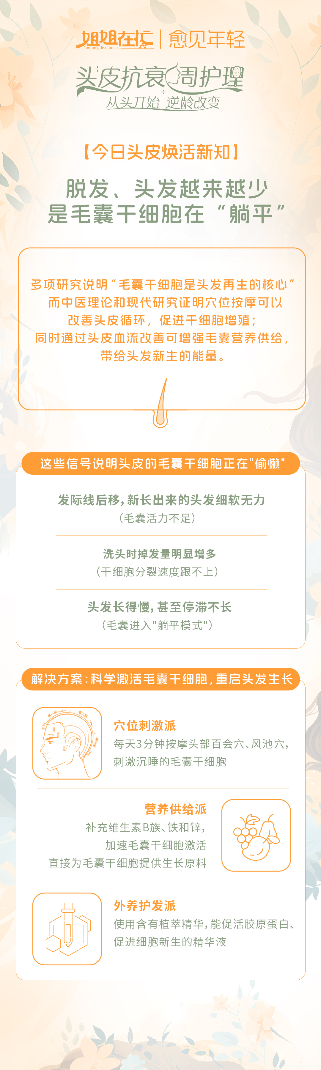 第5天-03-头发越来越少,是毛囊干细胞在“躺平”.jpg