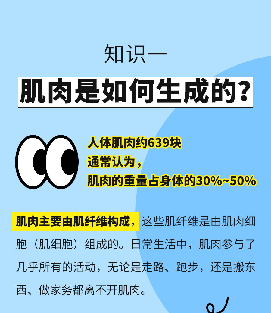 知识一
肌肉是如何生成的?
人体肌肉约639块通常认为，
肌肉的重量占身体的30%~50%
肌肉主要由肌纤维构成:这些肌纤维是由肌肉细胞(肌细胞)组成的。日常生活中，肌肉参与了几乎所有的活动，无论是走路、跑步，还是搬东西、做家务都离不开肌肉。