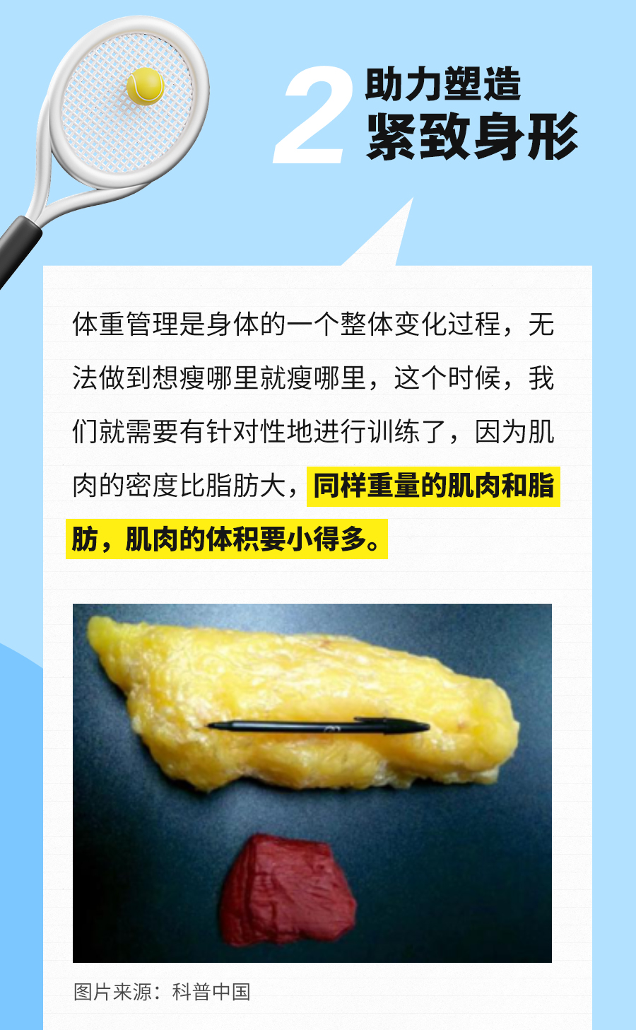 助力塑造
 紧致身形
 体重管理是身体的一个整体变化过程，无法做到想瘦哪里就瘦哪里，这个时候，我们就需要有针对性地进行训练了，因为肌肉的密度比脂肪大，同样重量的肌肉和脂肪，肌肉的体积要小得多。
 图片来源：科普中国
