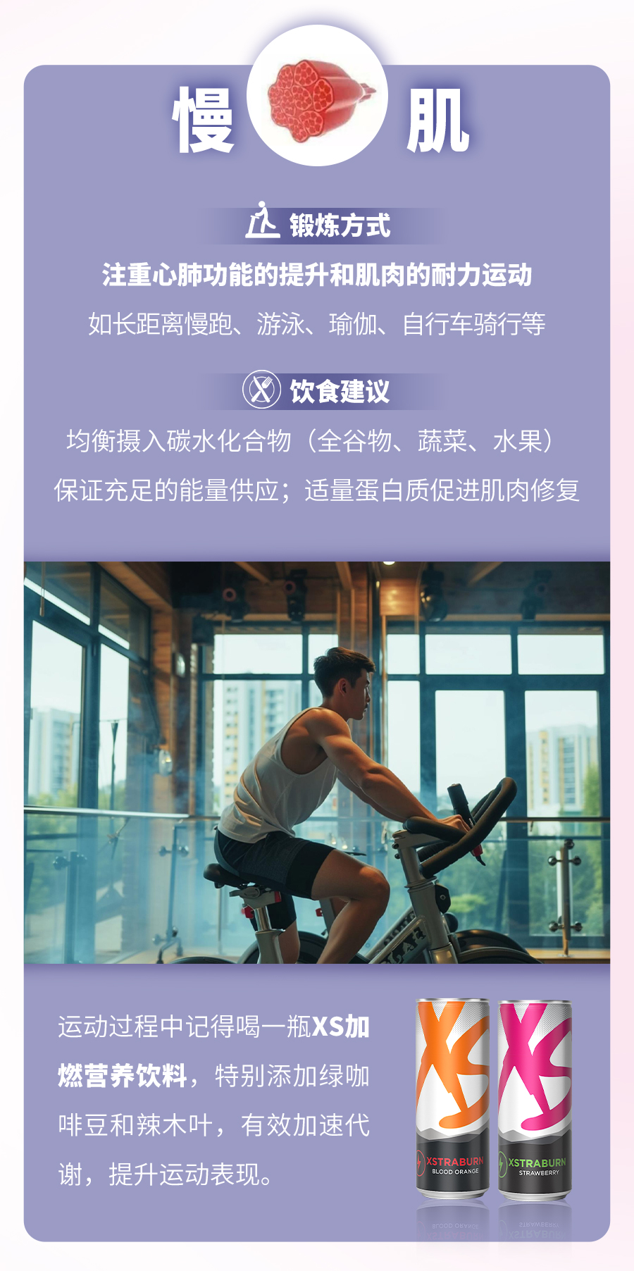 慢肌
 锻炼方式
 注重心肺功能的提升和肌肉的耐力运动
 如长距离慢跑、游泳、瑜伽、自行车骑行等
 饮食建议
 均衡摄入碳水化合物（全谷物、蔬菜、水果）
 保证充足的能量供应；适量蛋白质促进肌肉修复
 运动过程中记得喝一瓶XS加燃营养饮料，特别添加绿咖啡豆和辣木叶，有效加速代谢，提升运动表现。