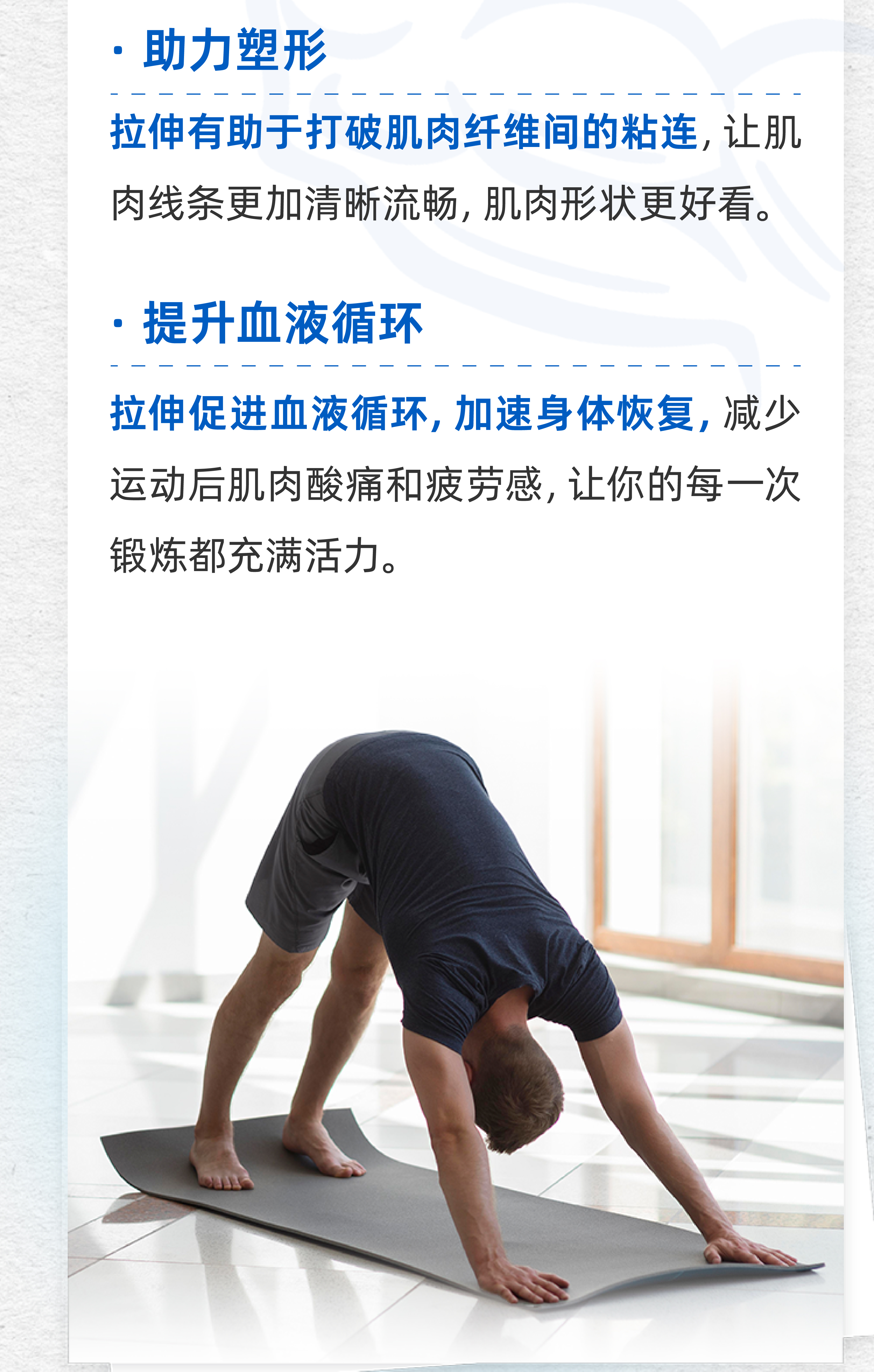 助力塑形
 拉伸有助于打破肌肉纤维间的粘连，让肌肉线条更加清晰流畅，肌肉形状更好看。
 提升血液循环
 拉伸促进血液循环，加速身体恢复，减少运动后肌肉酸痛和疲劳感，让你的每一次锻炼都充满活力。