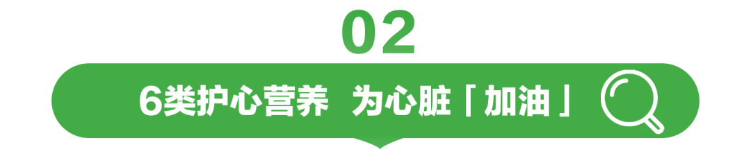 02  
6类护心营养 为心脏「加油」
