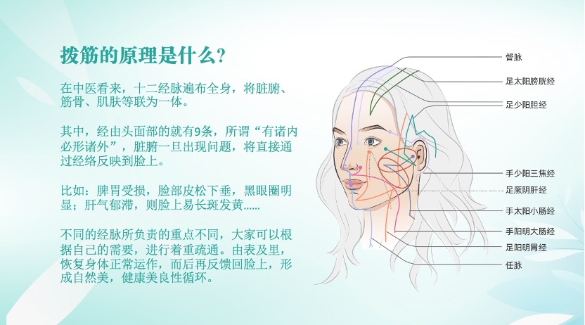 拨筋的原理是什么?
在中医看来，十二经脉遍布全身，将脏腑、筋骨、肌肤等联为一体。
其中，经由头面部的就有9条，所谓“有诸内必形诸外”，脏腑一旦出现问题，将直接通过经络反映到脸上。
比如:脾胃受损，脸部皮松下垂，黑眼圈明显;肝气郁滞，则脸上易长斑发黄.…
不同的经脉所负责的重点不同，大家可以根据自己的需要，进行着重疏通。由表及里，恢复身体正常运作，而后再反馈回脸上，形成自然美，健康美良性循环。

督脉
足太阳膀胱经
足少阳胆经
手少阳三焦经
足厥阴肝经
手太阳小肠经
手阳明大肠经
足阳明经
任脉