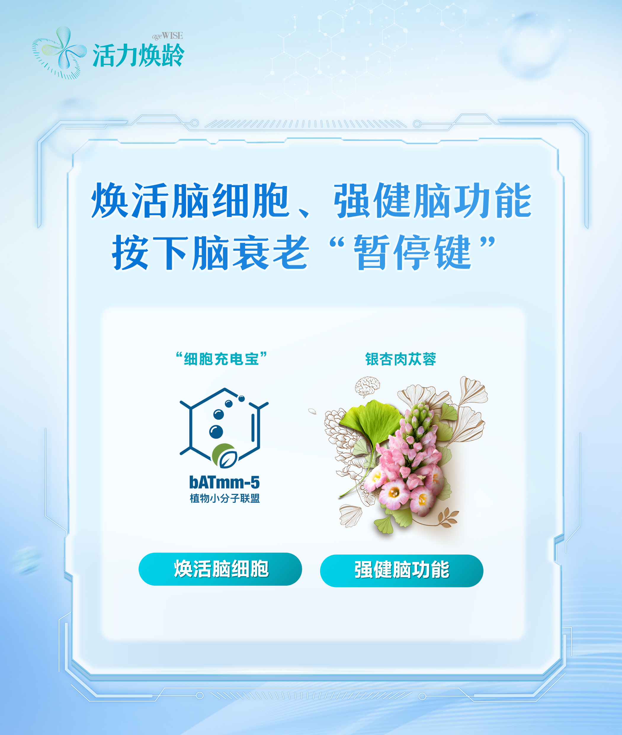 活力焕龄 ageWISE
 焕活脑细胞、强健脑功能
 按下脑衰老“暂停键”
 “细胞充电宝”
 bATmm-5 植物小分子联盟
 焕活脑细胞
 银杏肉苁蓉
 强健脑功能